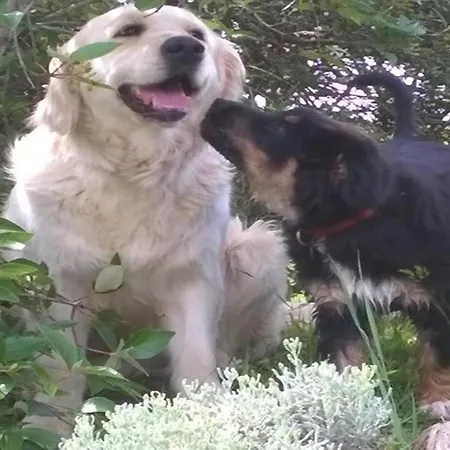 Сasa de vacaciones Mansion In Near Zocco