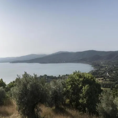 Mansion In Near Zocco