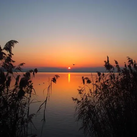 Mansion In Near Zocco 別荘 *