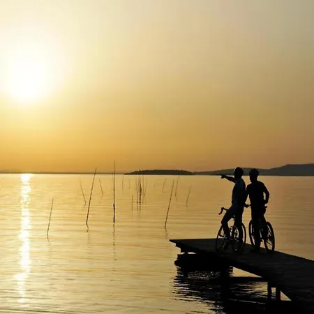 Mansion In Near Zocco 別荘 *