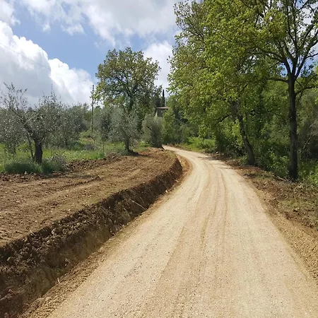 Mansion In Near Zocco *